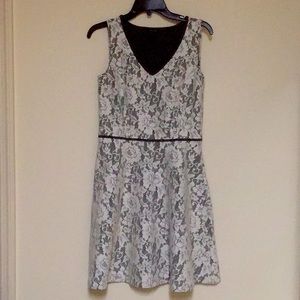 Ann Taylor A Line Lace Dress